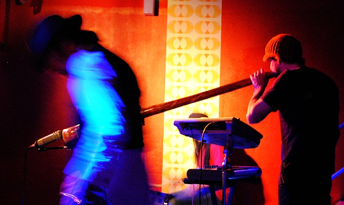 AnalogueBirds 0411 (45)